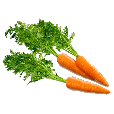 A carrot