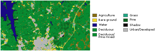 https://desktop.arcgis.com/en/arcmap/10.3/manage-data/raster-and-images/what-is-raster-data.htm
