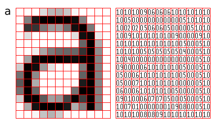 matrix
