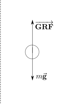 free-body diagram of a ball