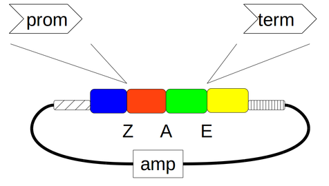 pYPKa_Z and pYPKa_E plasmids