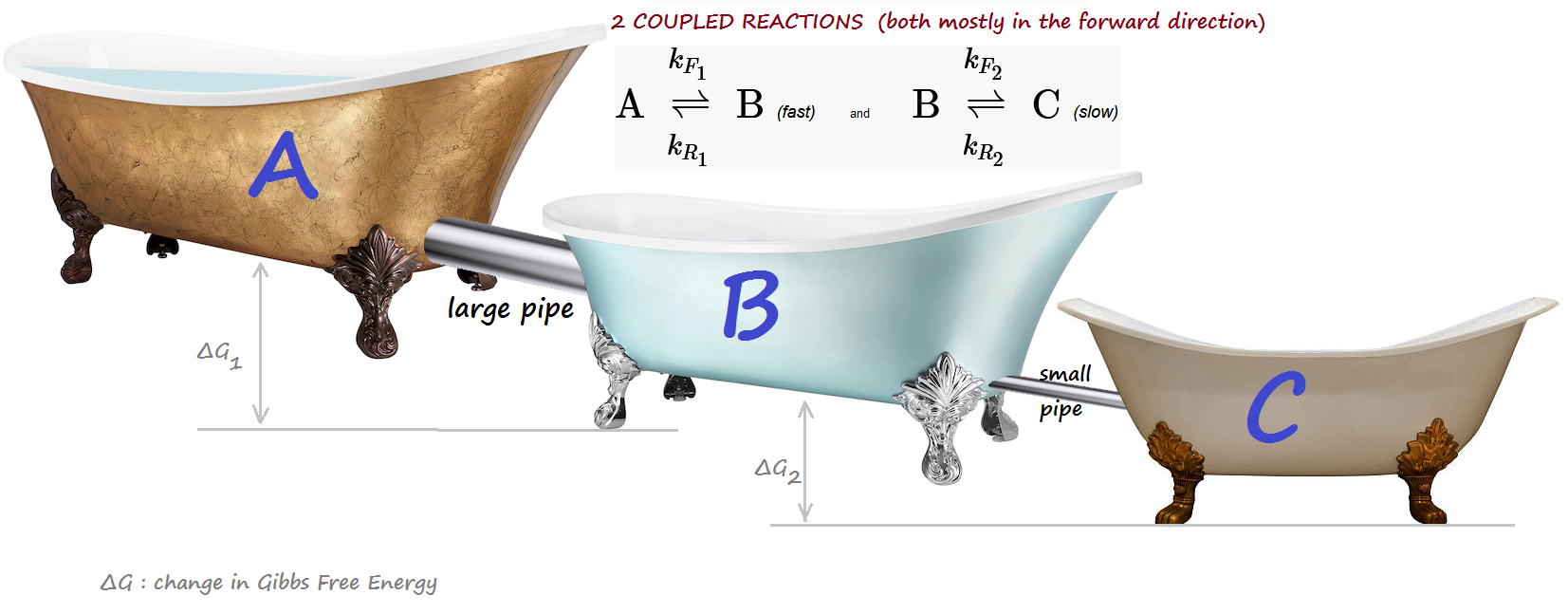 2 Coupled Reactions