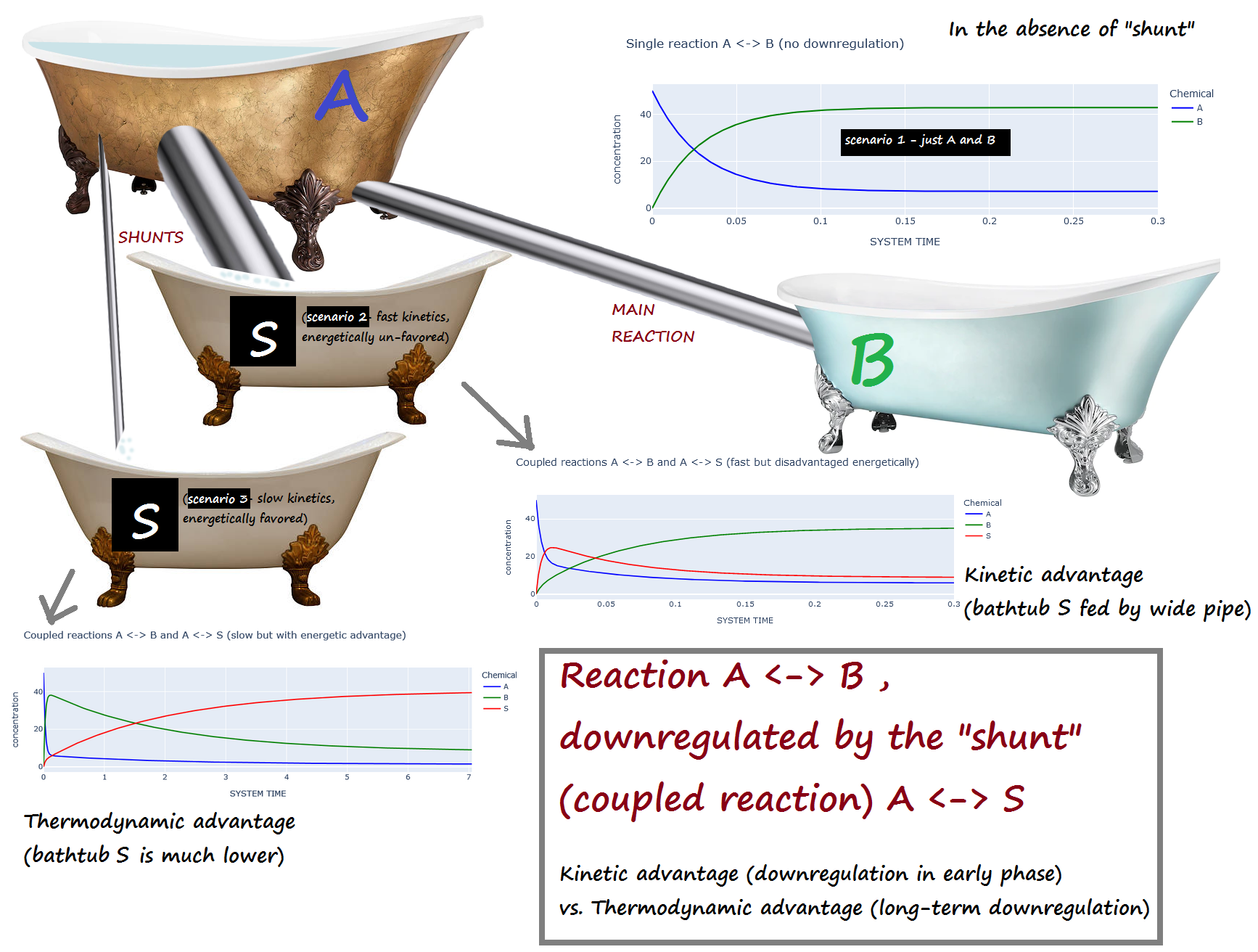 Downregulated by shunt