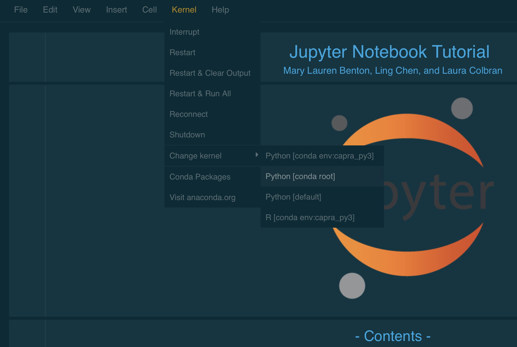 python-jupyter-notebook-not-showing-output-on-vs-code-mac-stack