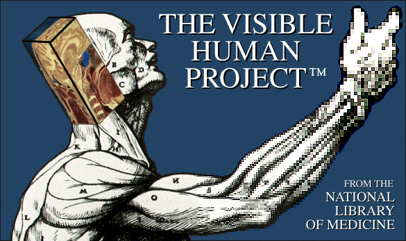 Visible Human Logo