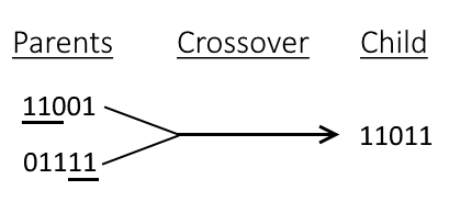 point crossover