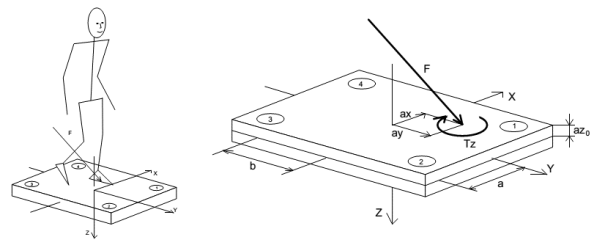 A force plate and its coordinate system convention