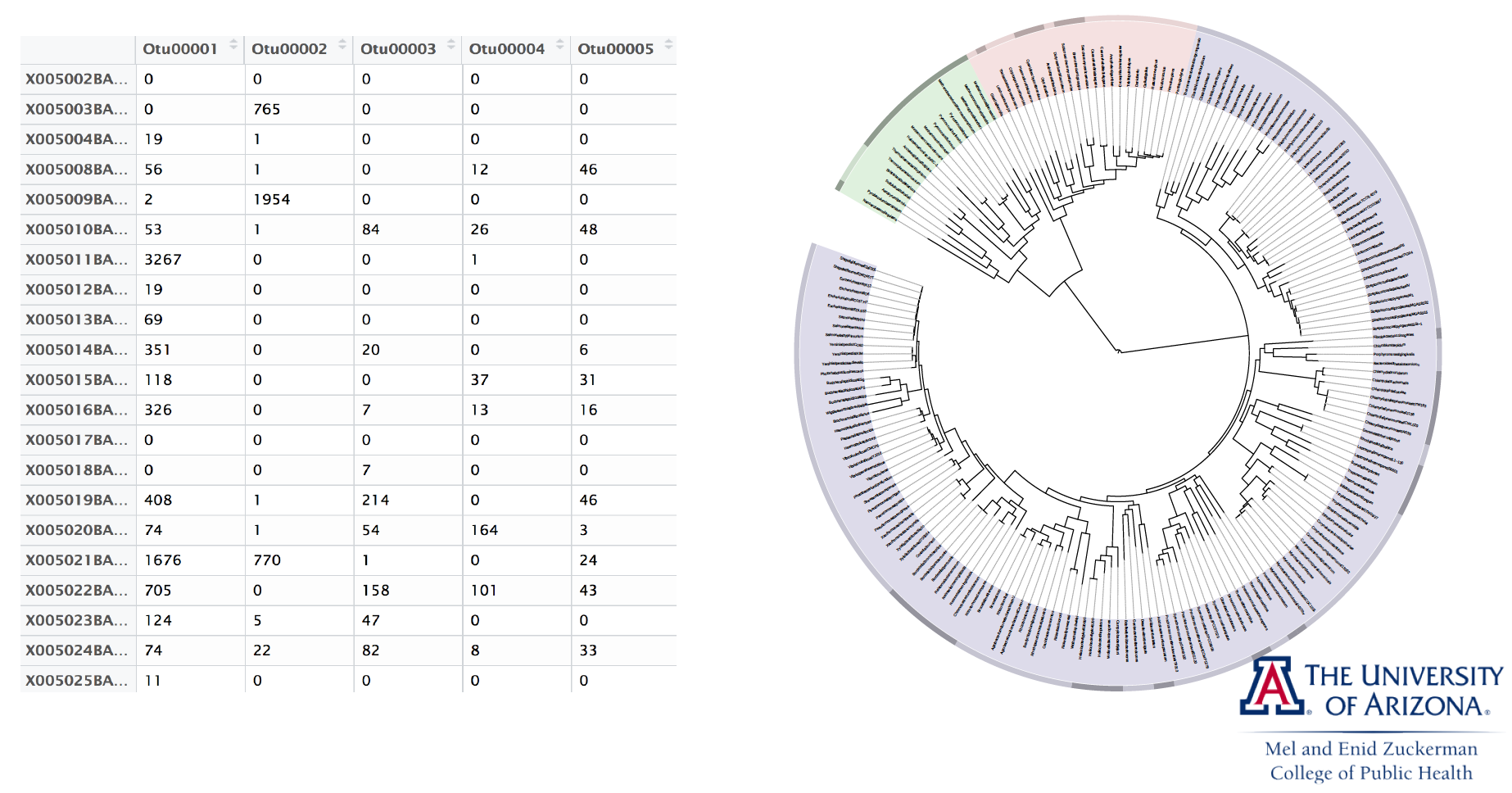 Microbiome Data